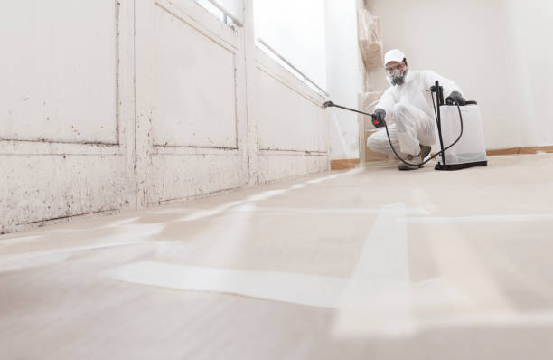 24/7 Emergency Mold Remediation experts in Berwyn, PA
